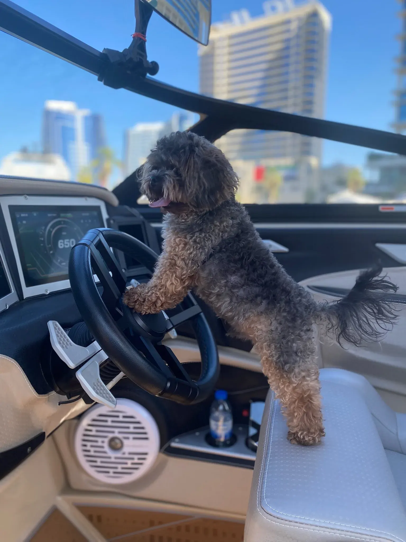 Homewake Dubai moment